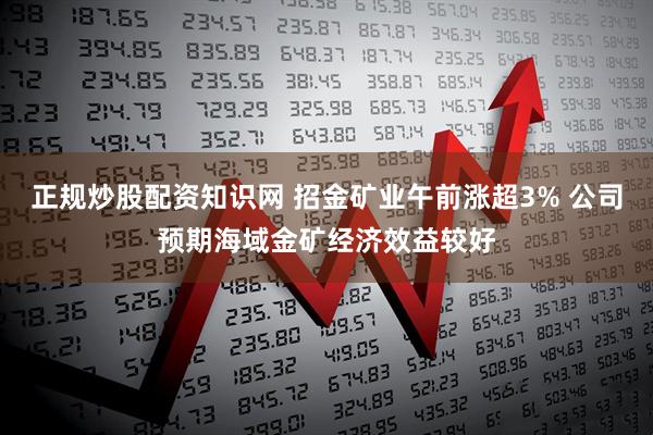 正规炒股配资知识网 招金矿业午前涨超3% 公司预期海域金矿经济效益较好