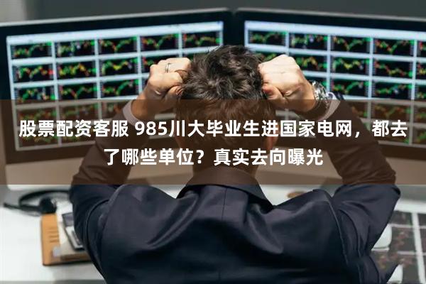 股票配资客服 985川大毕业生进国家电网，都去了哪些单位？真实去向曝光