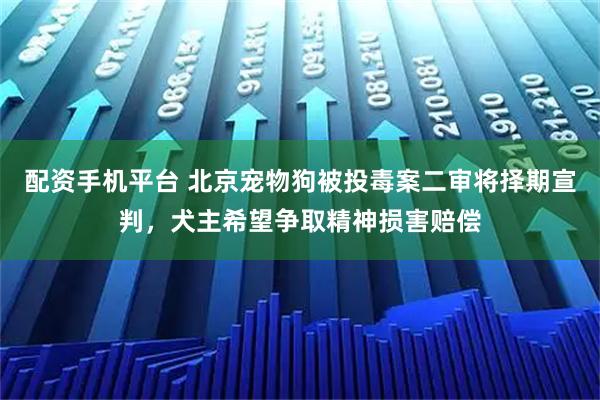 配资手机平台 北京宠物狗被投毒案二审将择期宣判，犬主希望争取精神损害赔偿